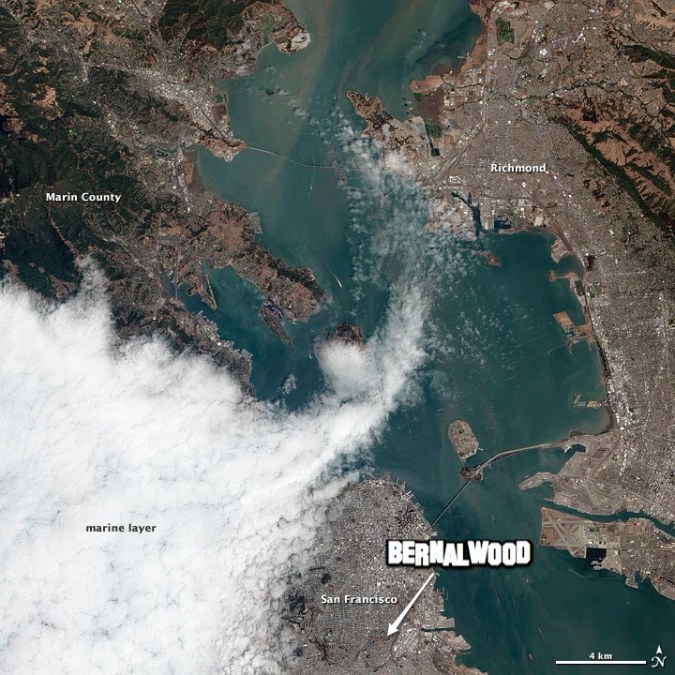 sanfrancisco_ali_2012229 2