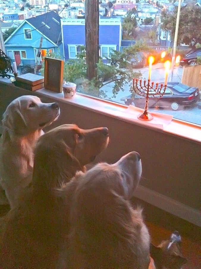 Bernalwood.HanukkahDogsBSC