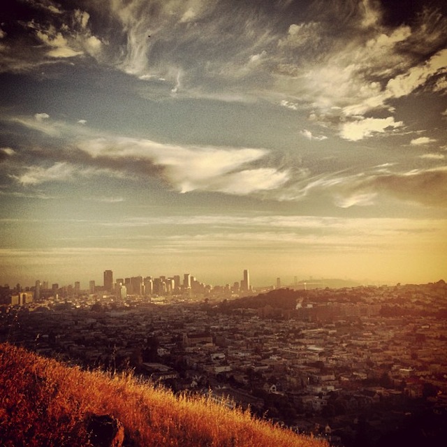 bernalmorning.misosoup