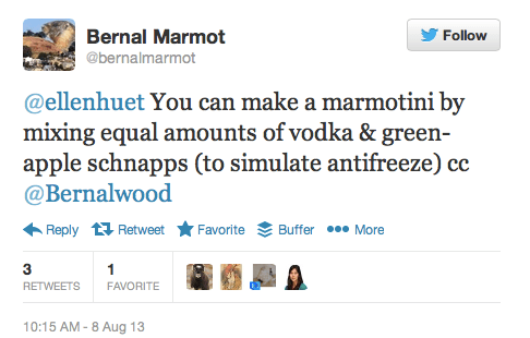 marmotini.bernalmarmot