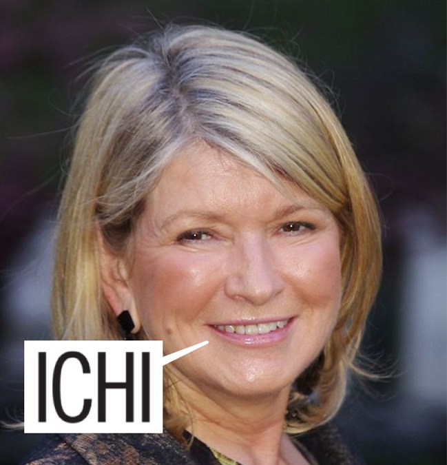 Martha_Stewart_2011ichi