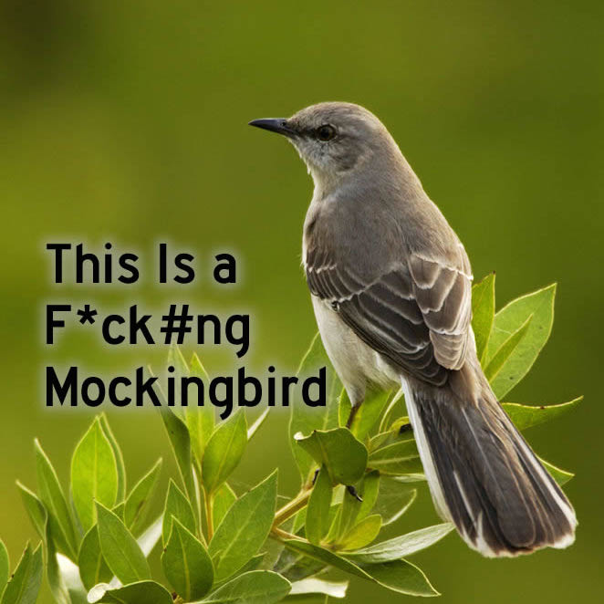 mockingbird1e