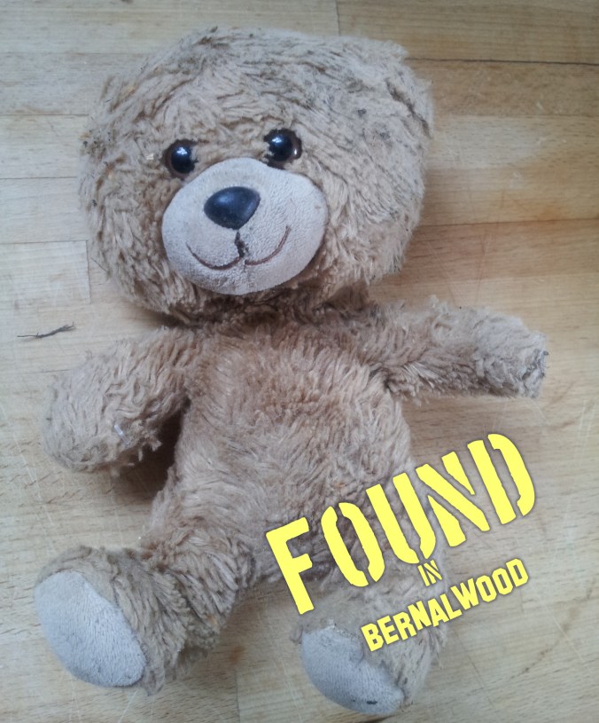 foundbear2