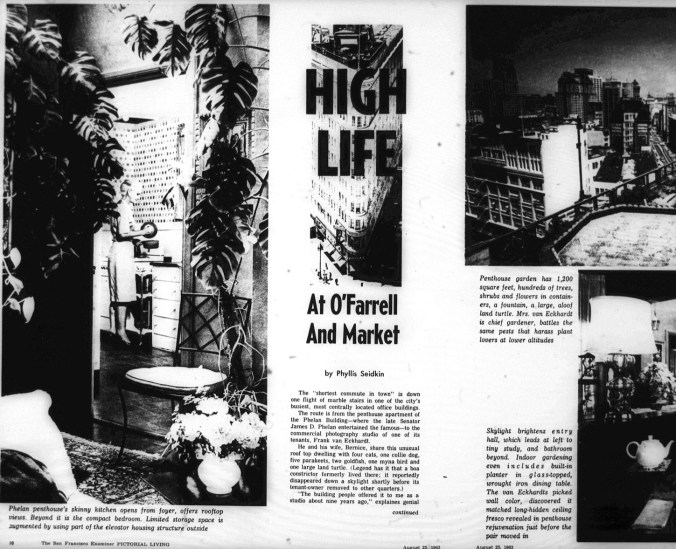 phelan-building-highlife