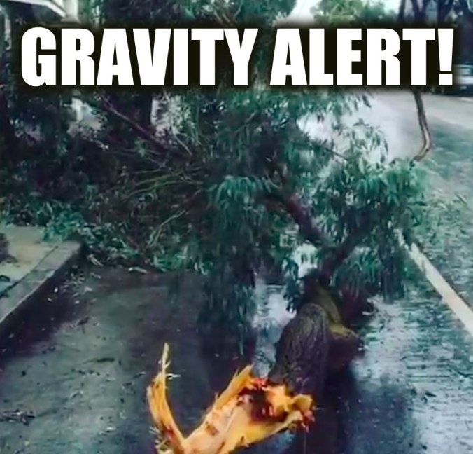 GRAVITYALERT
