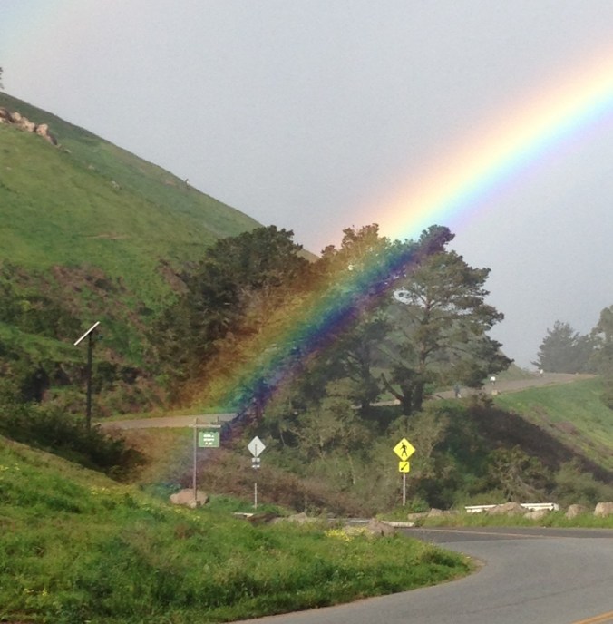 rainbow.cfenton copy