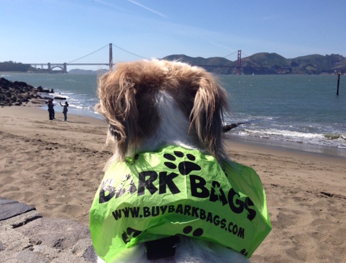 barkbag1
