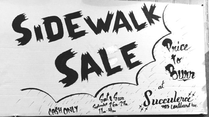 SidewalkSaleSucculence