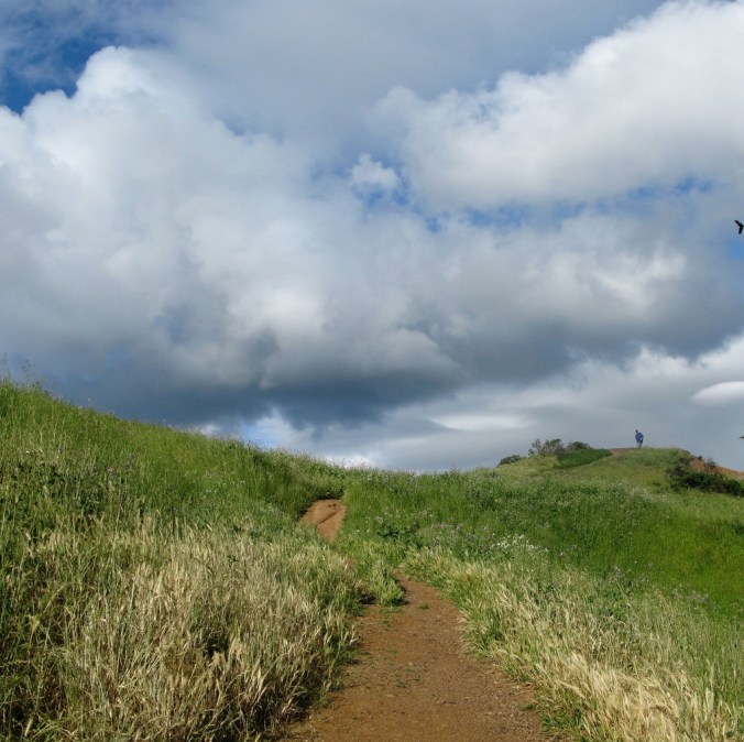 underwood.ruralbernal