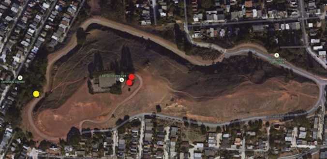 Bernal_Tree Work map.pdf