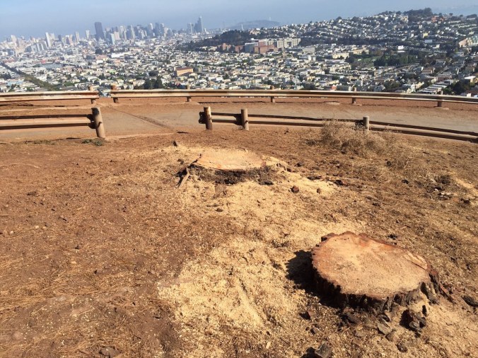 bernalhillstumps