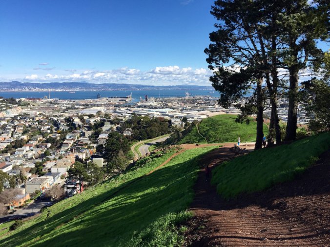 24380285999_0ae2b9e128_k