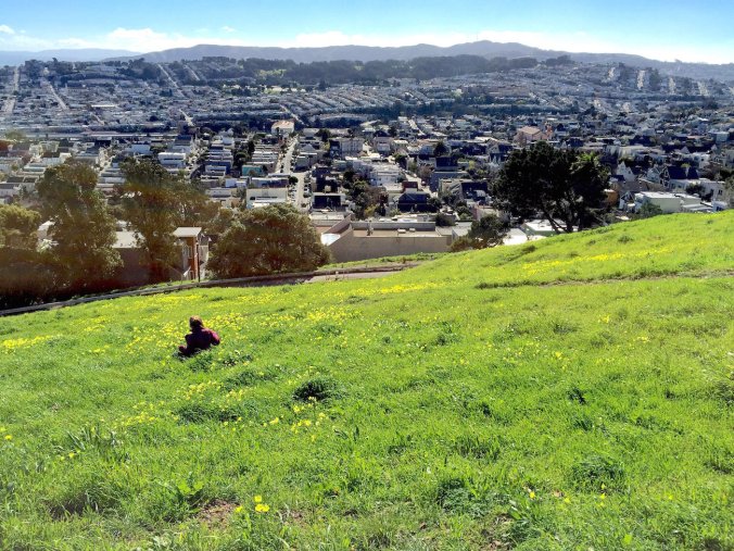 24452406810_f85d8d15ad_k