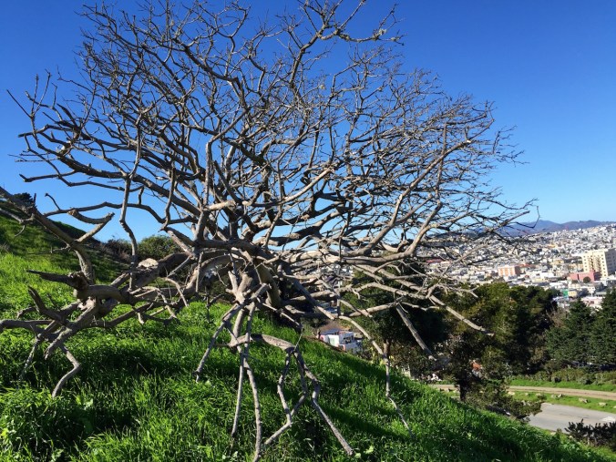 24459440000_587790fb68_o