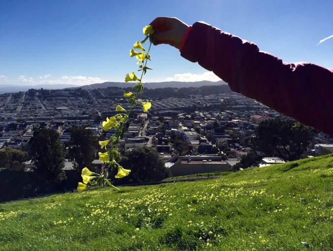 24471037190_9d5250d57c_k