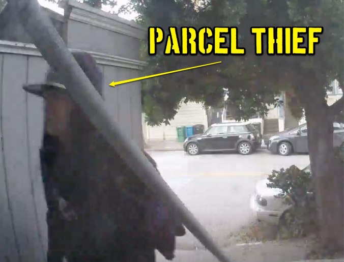 parcelthiefmay16