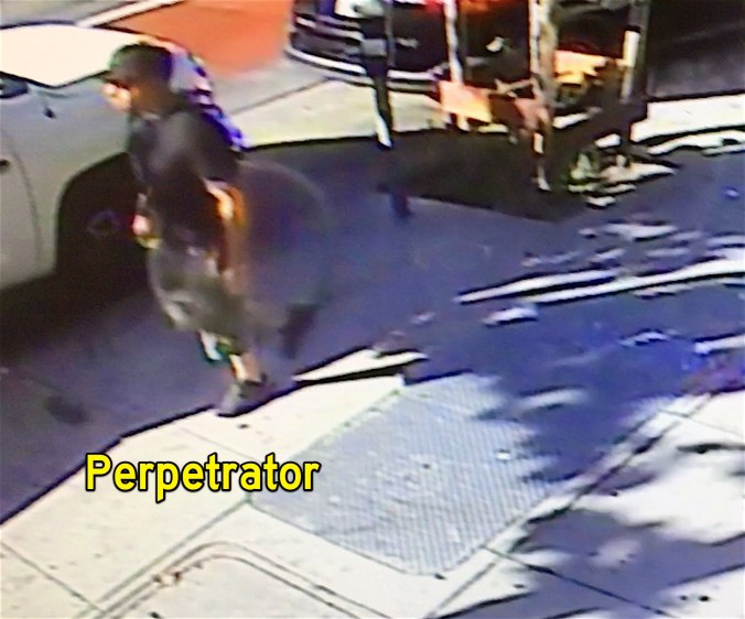 assaultperpmission-2