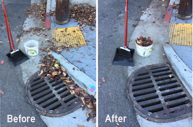 drainbeforeafter
